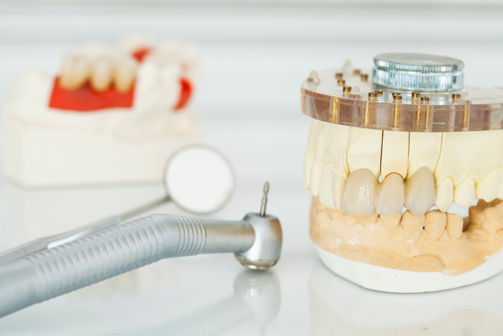 dental crown on model