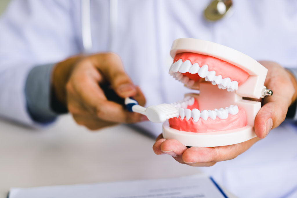dentist demonstrating brushing